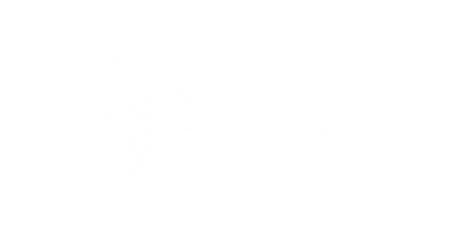 icon + stars.png